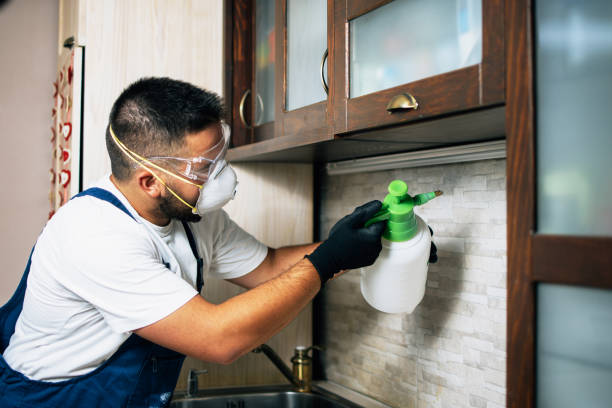 Best Wildlife Control Services  in Sprague, WV