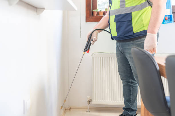 Best Flea Control Services  in Sprague, WV