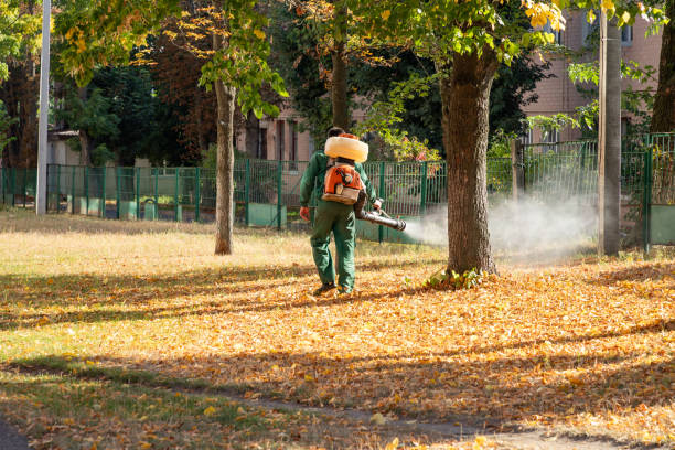 Best Pest Control Near Me in Sprague, WV