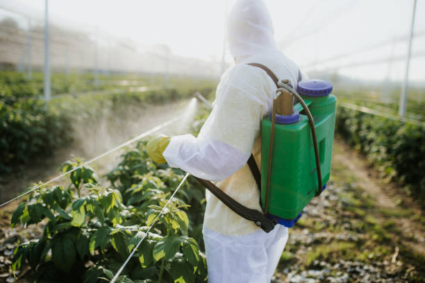 Best Commercial Pest Control Services  in Sprague, WV